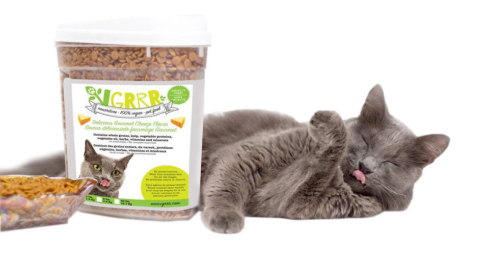 vegane Tierernährung bei Hund und Katze